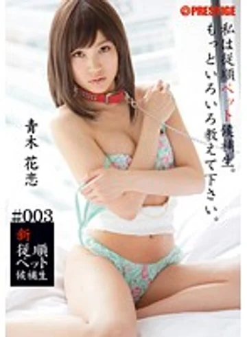 BRA-003 jav