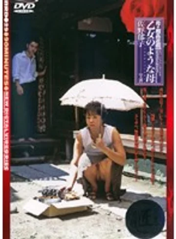 BRD-29 jav