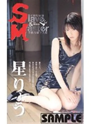 DSM-04 jav