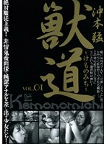 DZSD-01 jav
