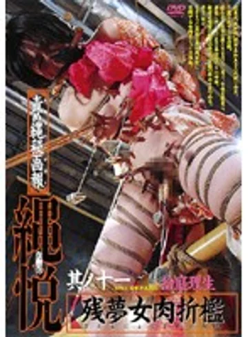 ADV-R0327 jav