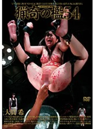 ADV-R0458 jav