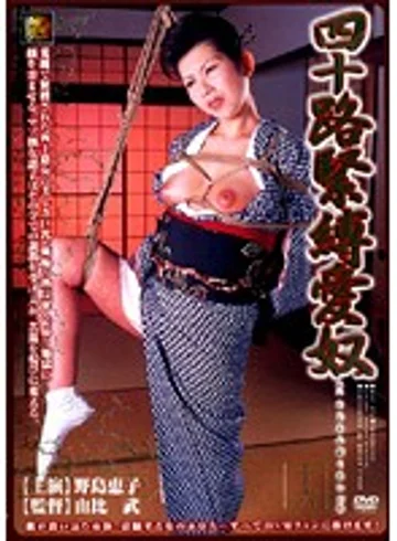 DSE-273 jav
