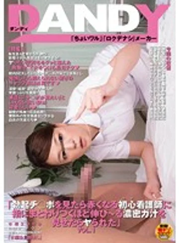 DANDY-383 jav