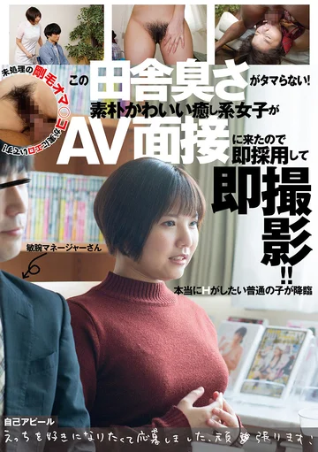 DANDY-710 jav