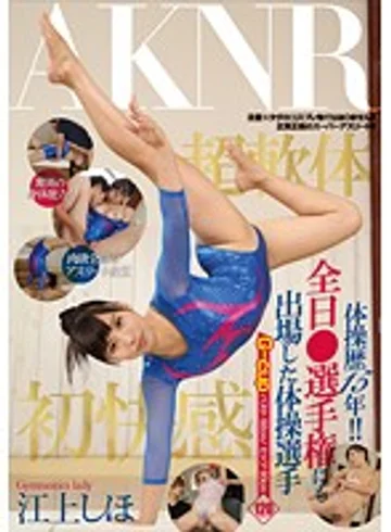 FSET-666 jav
