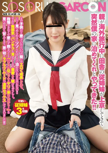 GS-384 jav