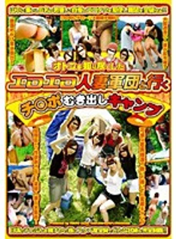 HAVD-255 jav