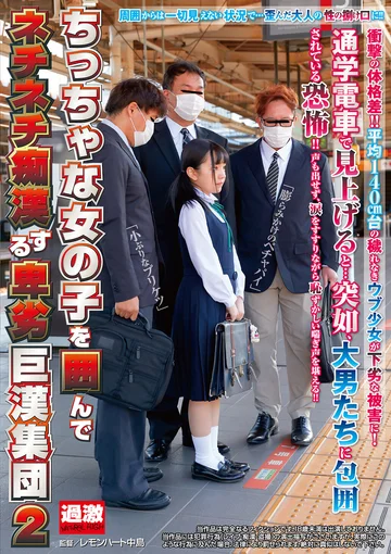 NHDTB-489 jav