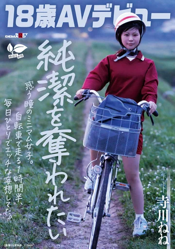 SDAB-340 jav