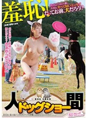 SVDVD-211 jav