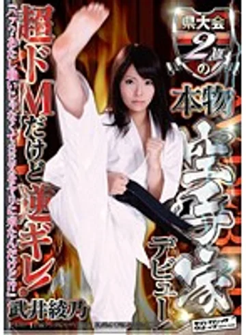 SVDVD-380 jav