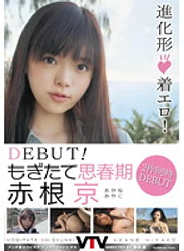 VTVT-003 jav