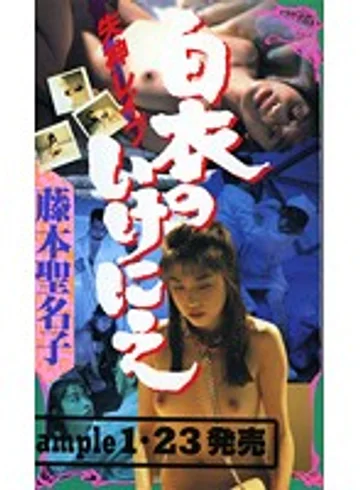 MSV-002 jav