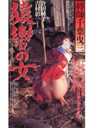 CS-253 jav