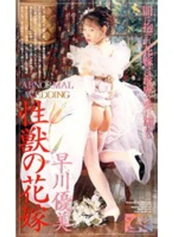 VS-353 jav