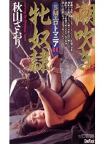 VS-448 jav