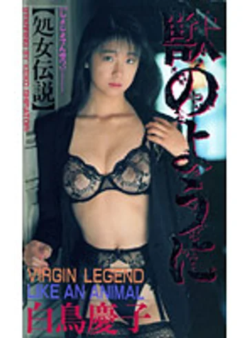 FE-026 jav