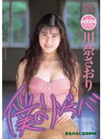 PDV-137 jav