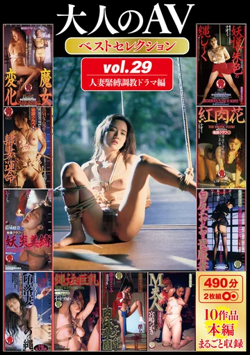 HODV219-09 jav