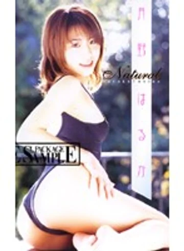 BB-13 jav