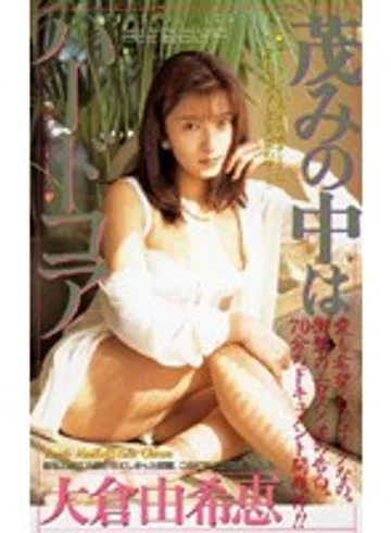 IM-40 jav