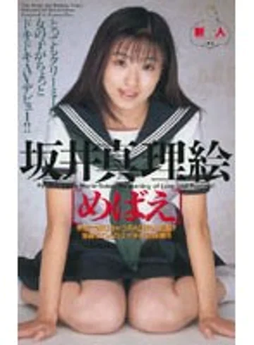 IM-91 jav