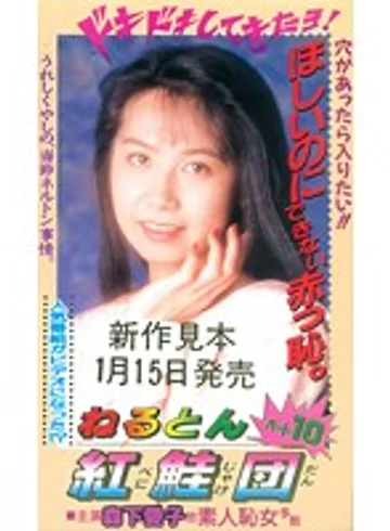 BIC-104 jav