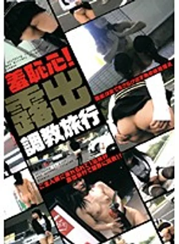 AXDVD0017R jav