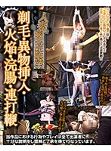 AXDVD-0257R jav