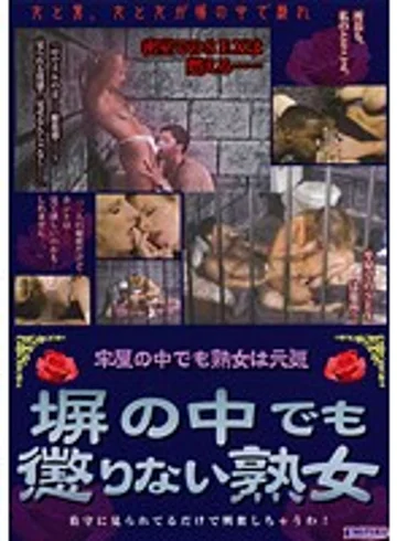 CBT-029 jav