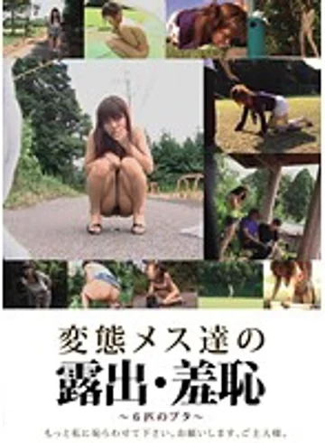 EVIS-006 jav