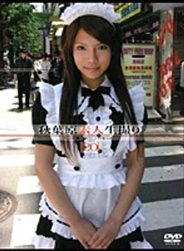 GS-255 jav