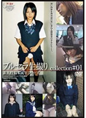 GS-1399 jav