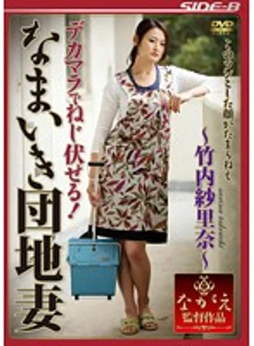 NSPS-208 jav