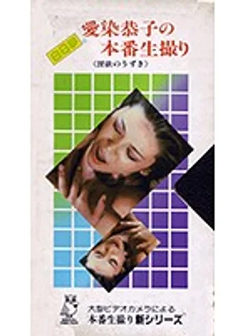 NV-9001 jav