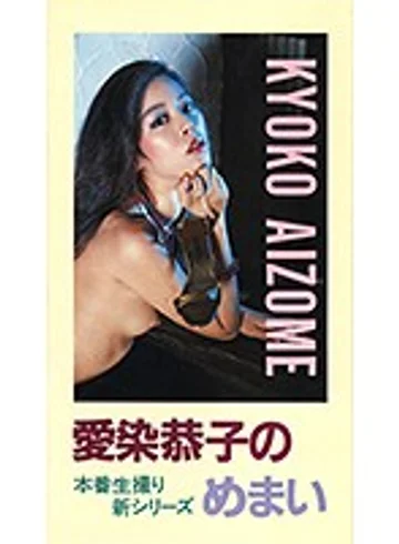 NV-9003 jav