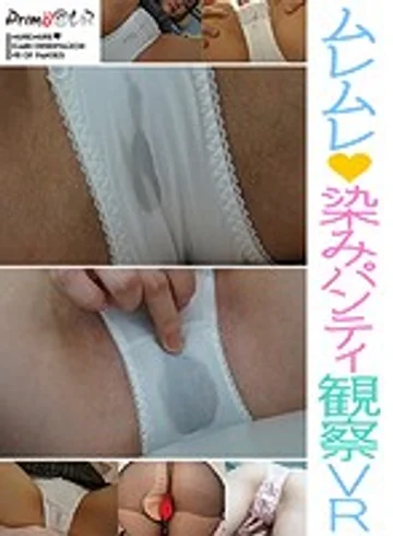 PYDVR-014 jav