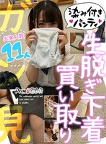 PYDVR-020 jav