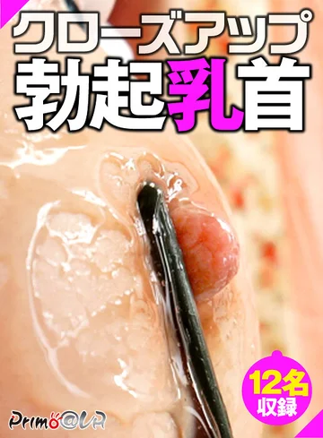 PYDVR-048 jav