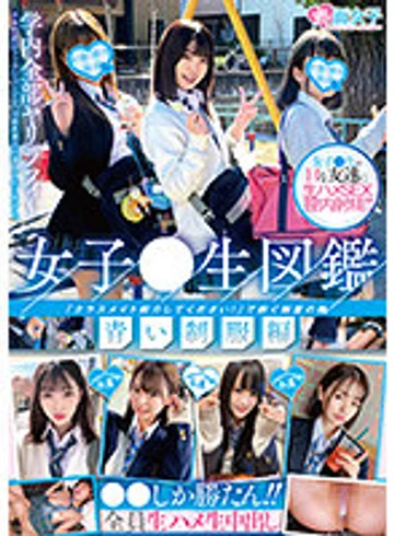 SKMJ-200 jav