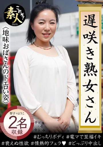h_1631krs00049 jav