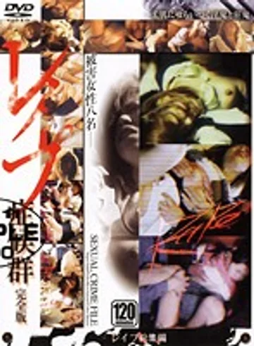 VNDS-453 jav