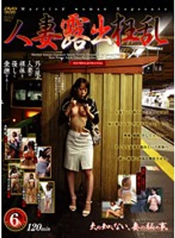 VNDS-610 jav