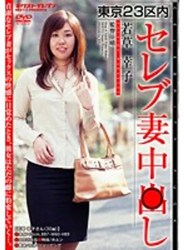 VNDS-712 jav