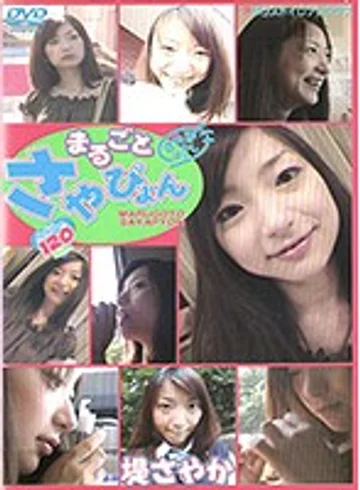 VNDS-2048 jav