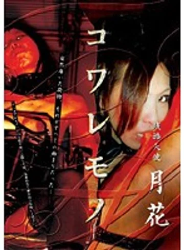 KT-602 jav