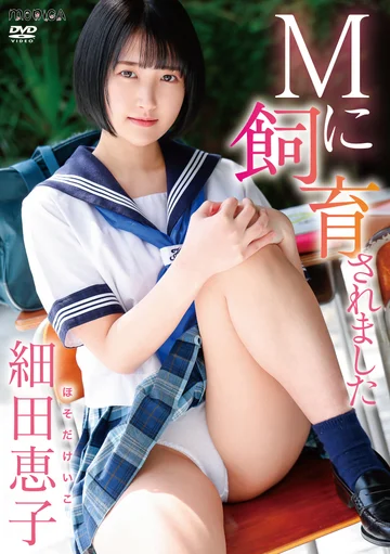 SBMO-01268 jav