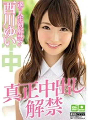 HND-231 jav