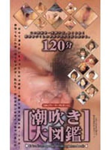 IKF-002 jav